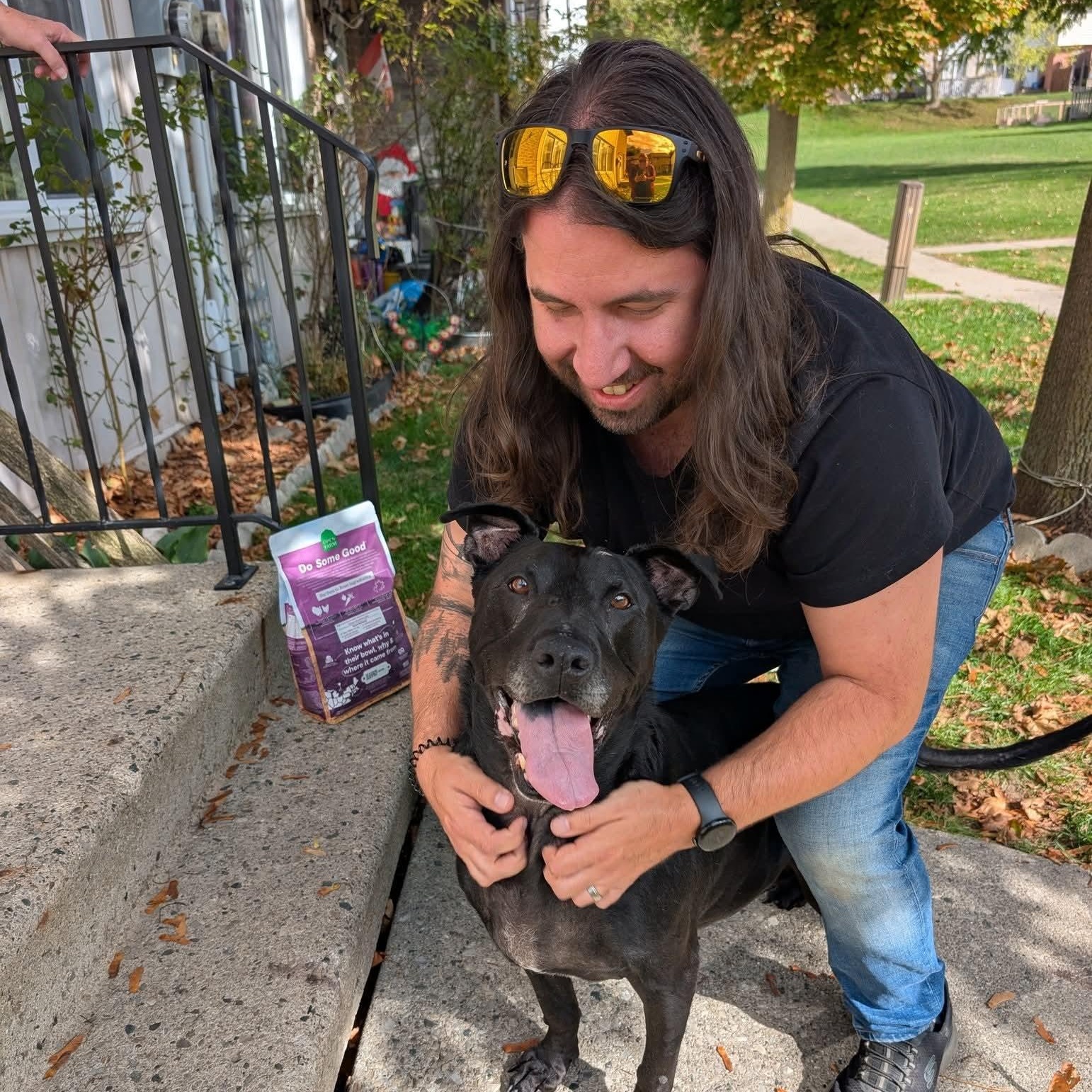 Ollie, a Adoptable mixed breed in Woodstock, ON image 6/6