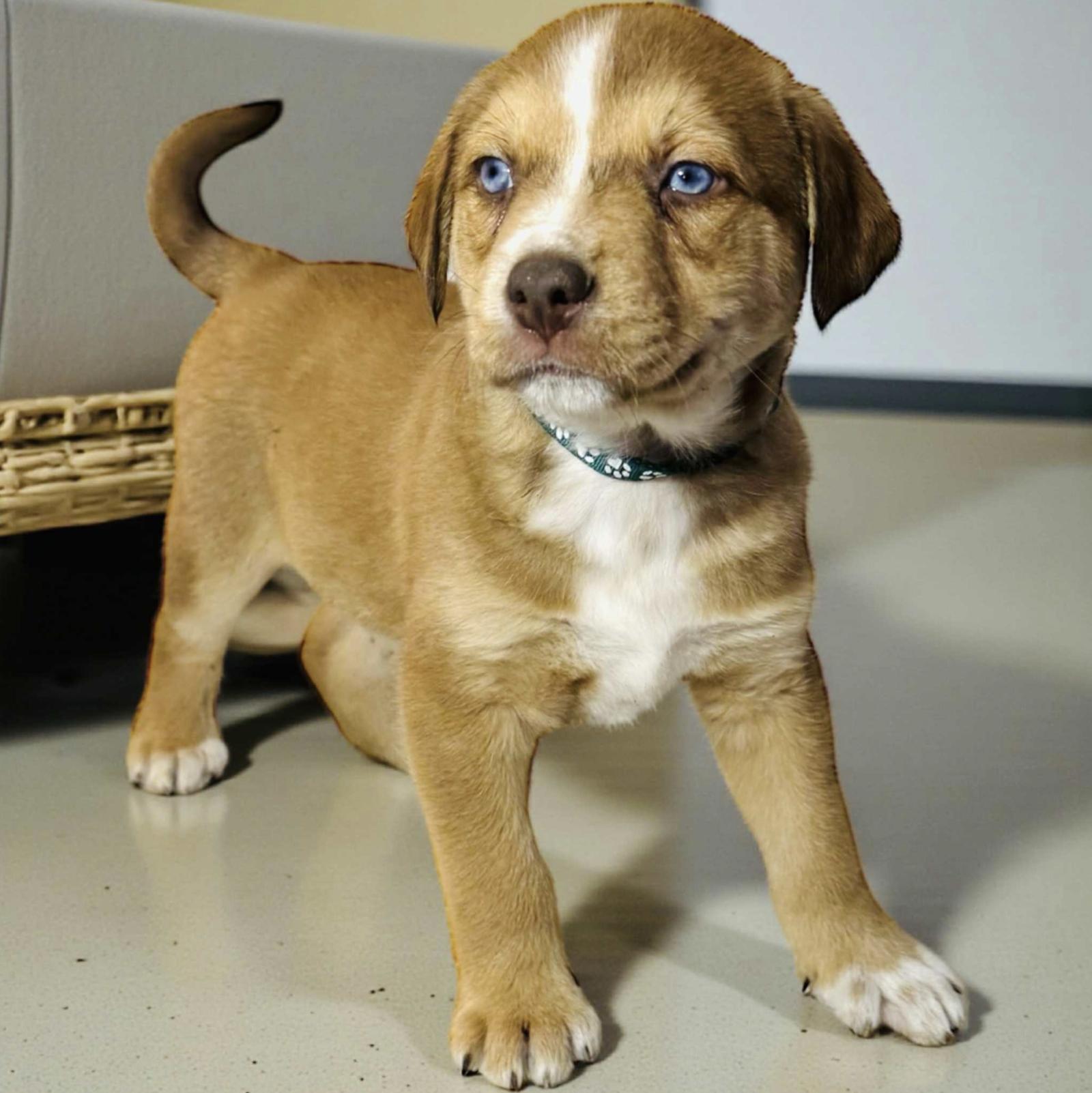 Xavier — thumbnail 3