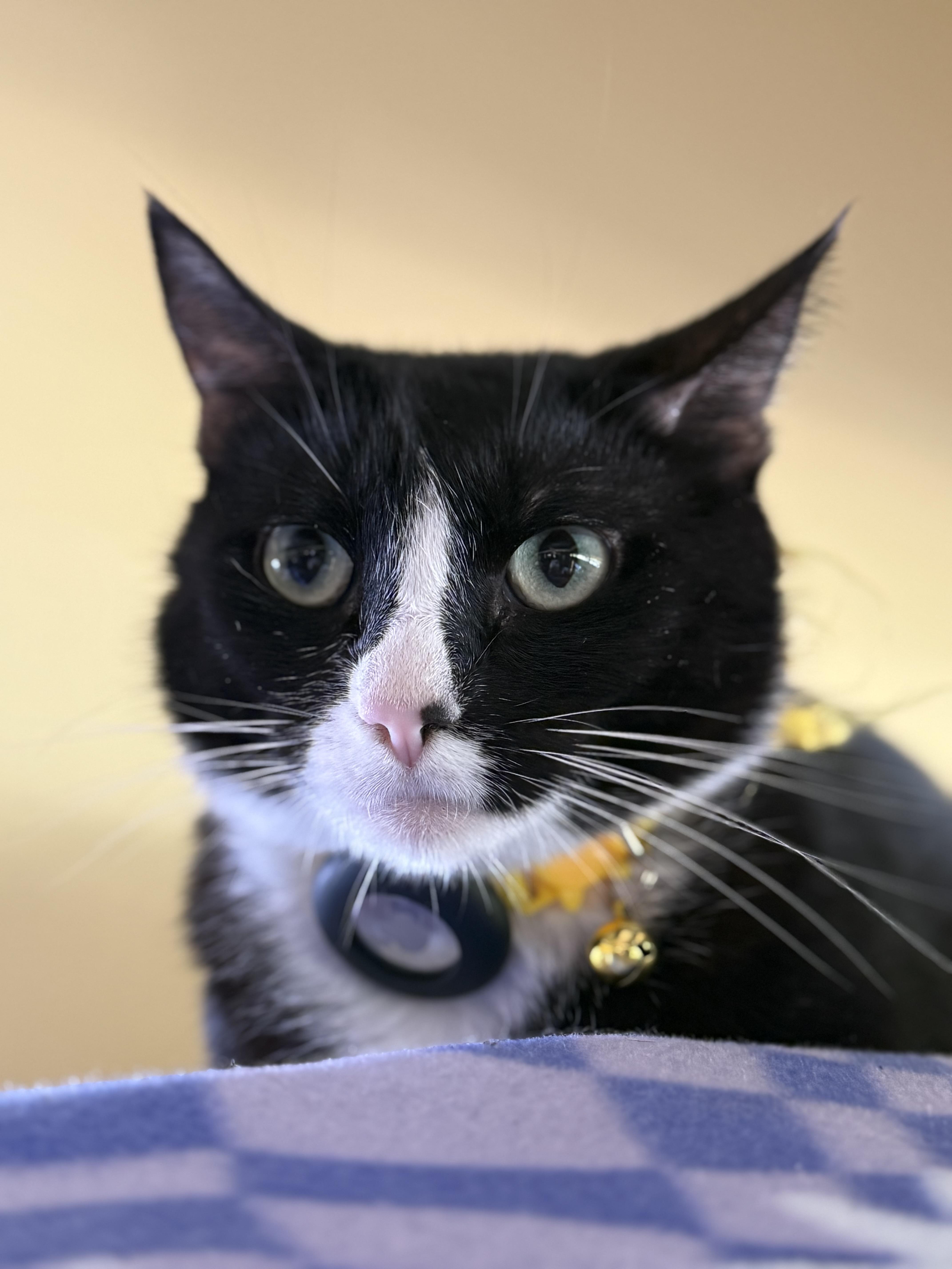 Dawn — thumbnail 3