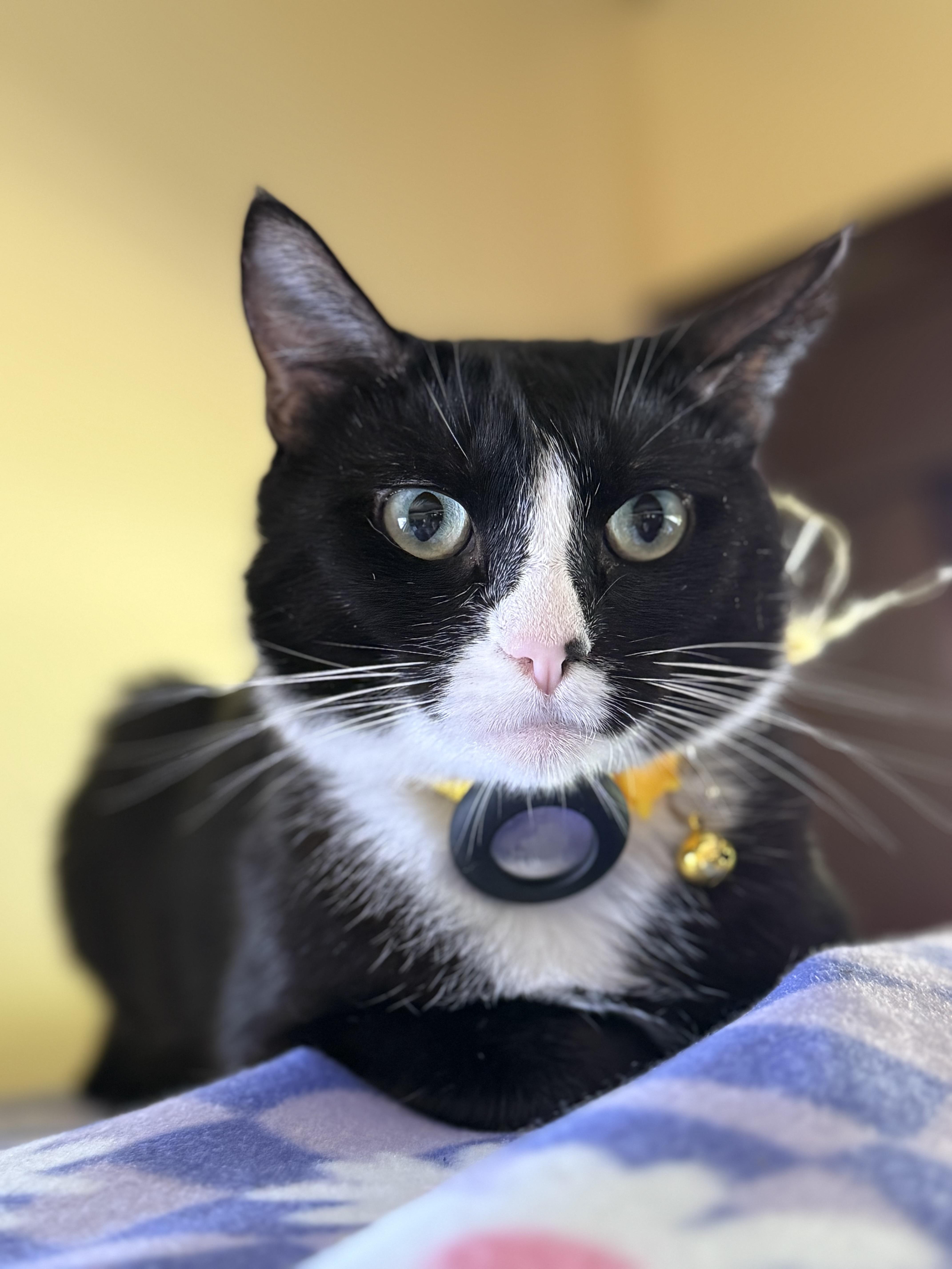 Dawn — thumbnail 4