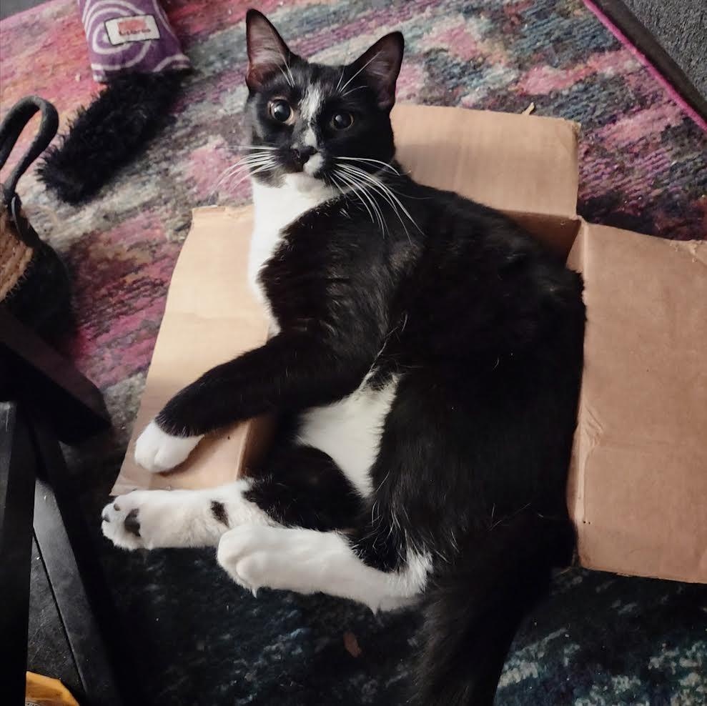 Clover & Chive — thumbnail 2