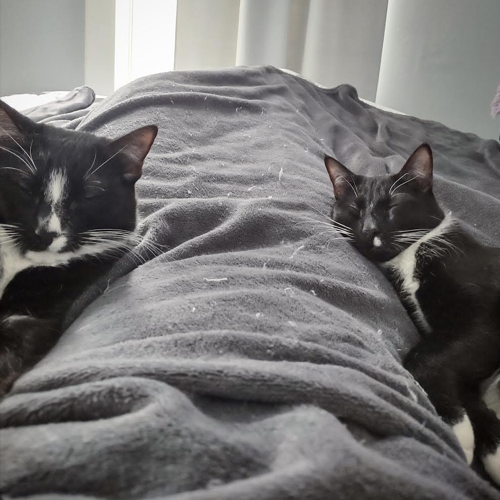 Clover & Chive — thumbnail 3