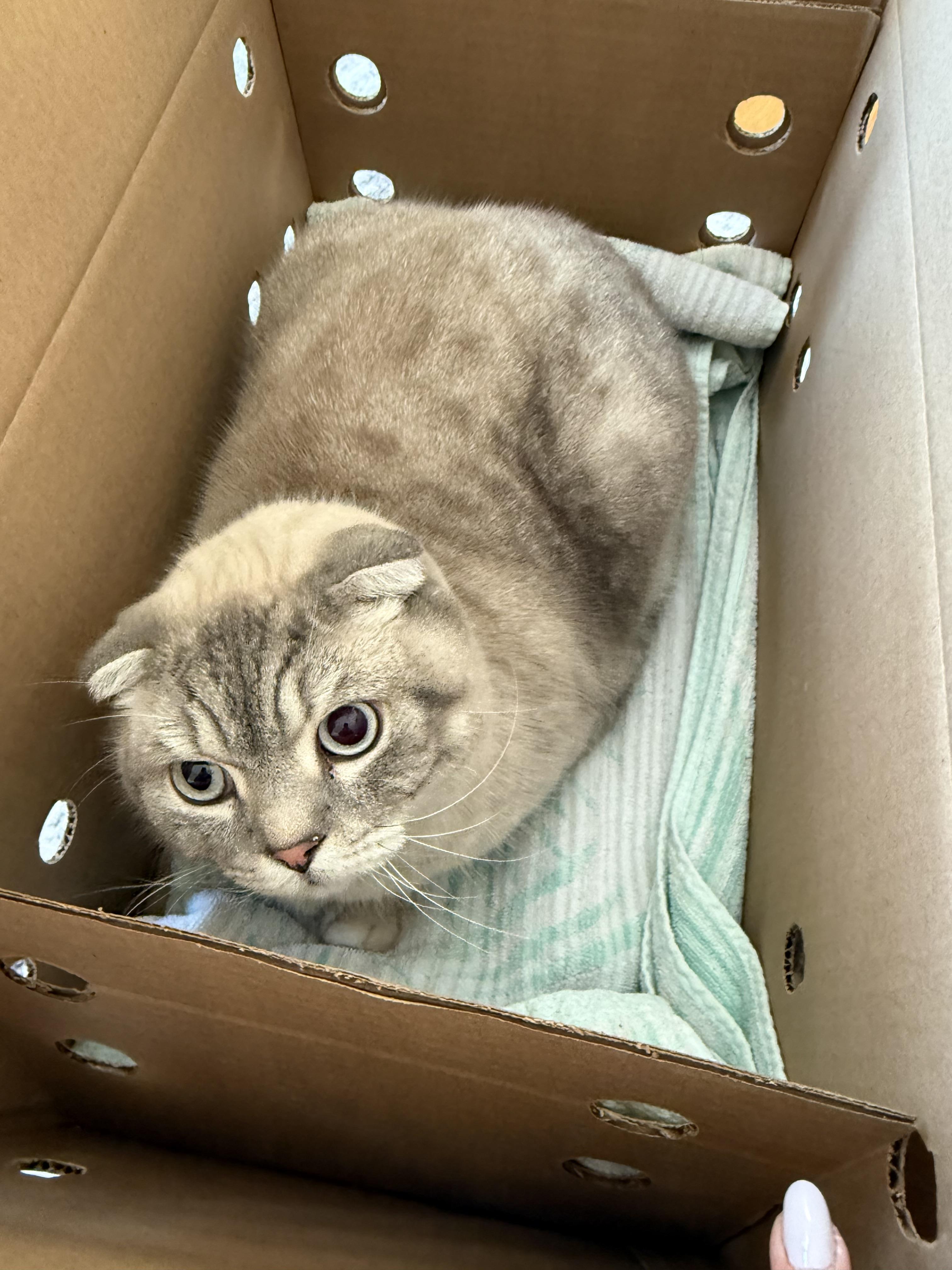 Berushka — thumbnail 2