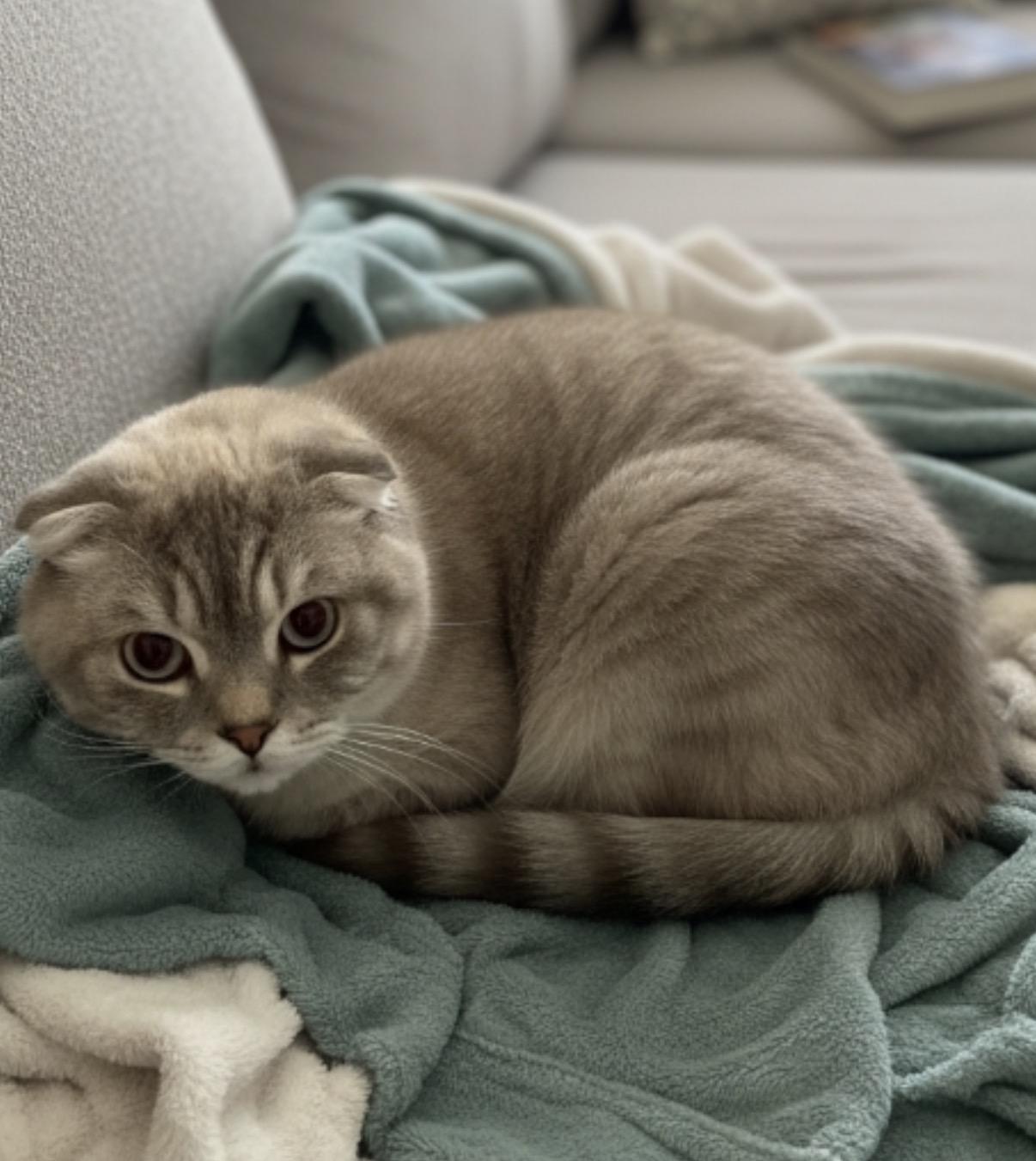 Berushka — thumbnail 4