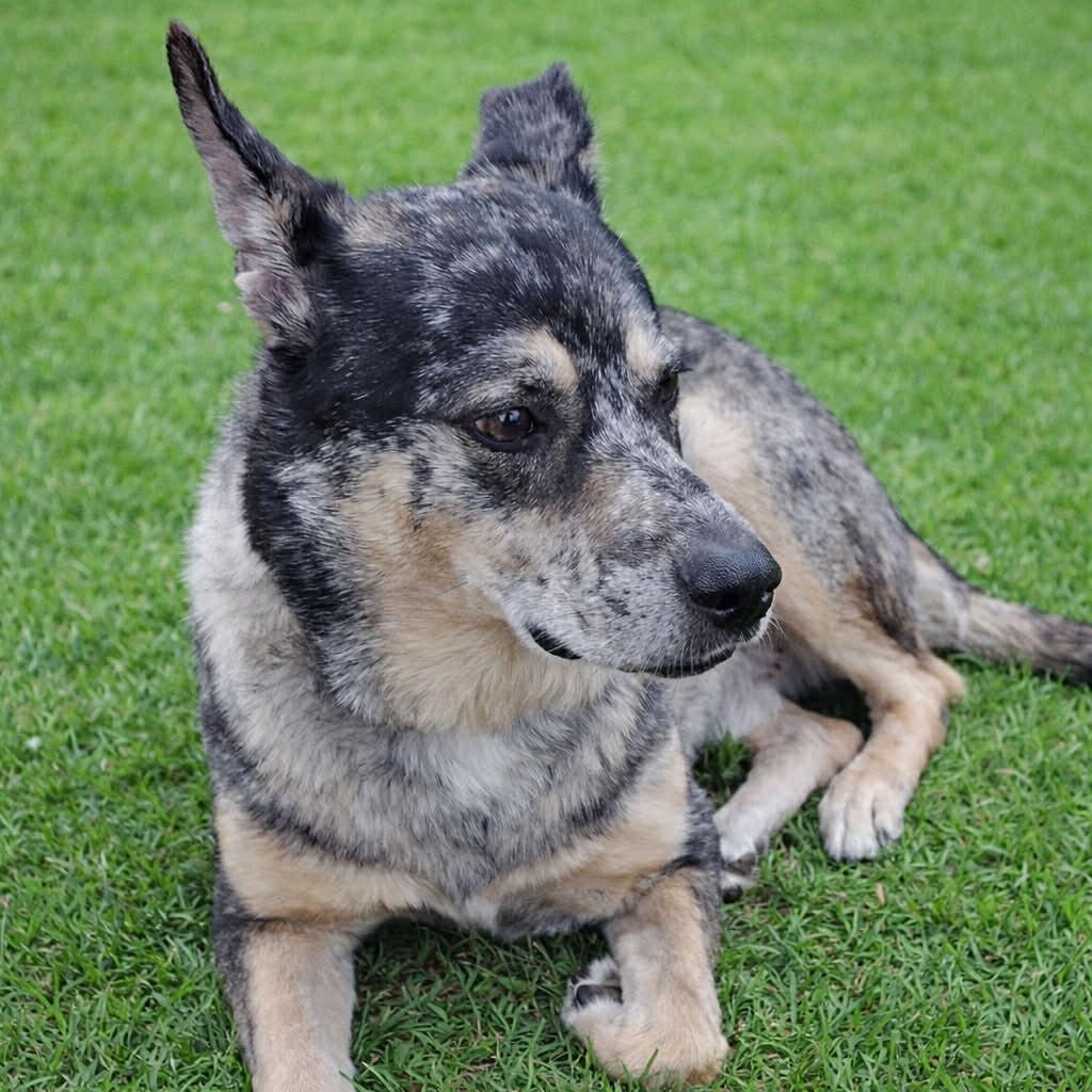 Zeus — thumbnail 6