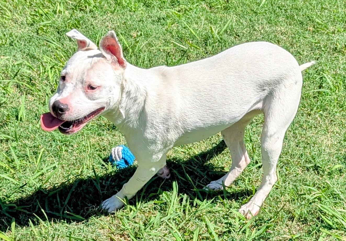 Miracle* A212071