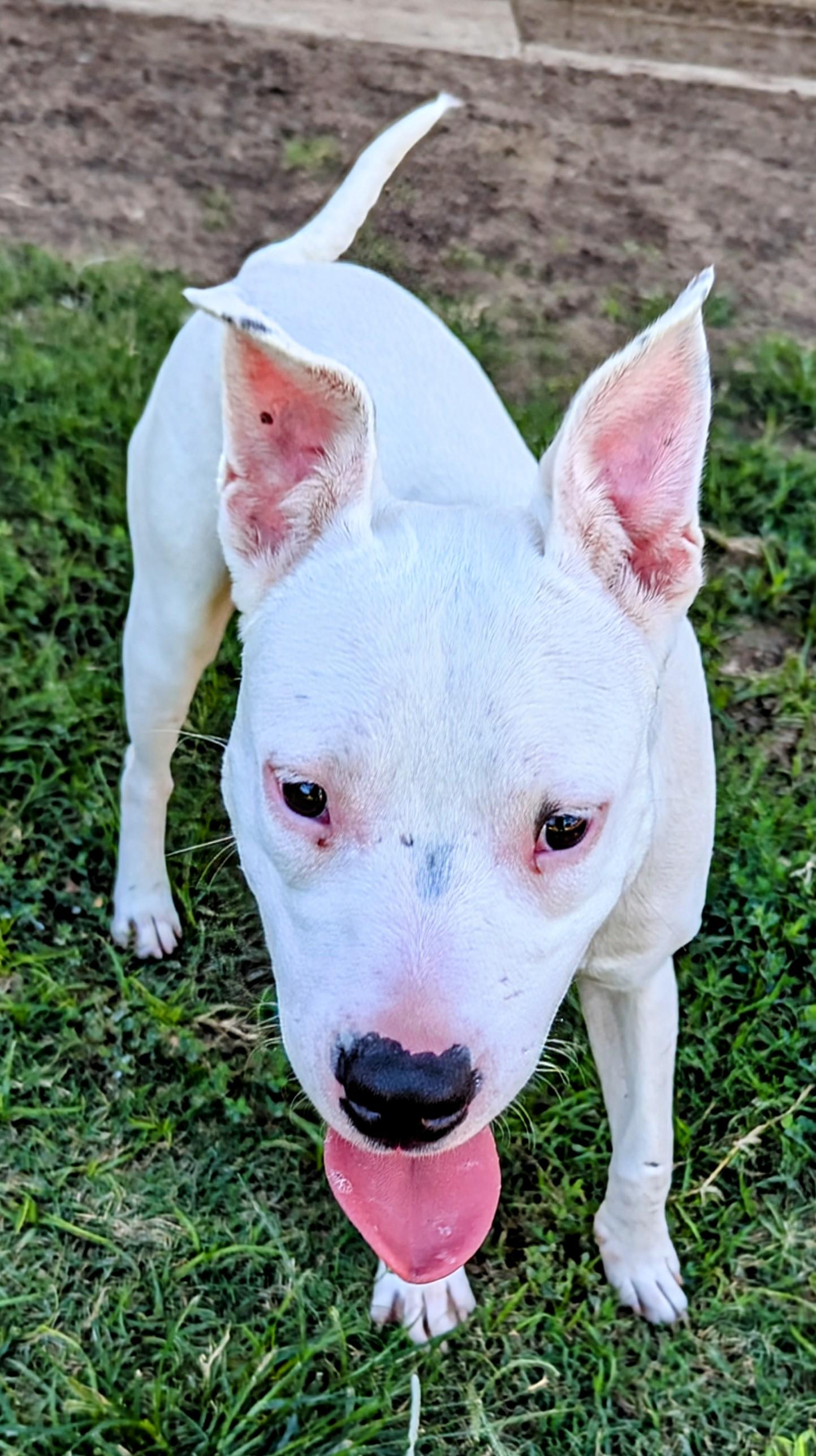 Miracle* A212071