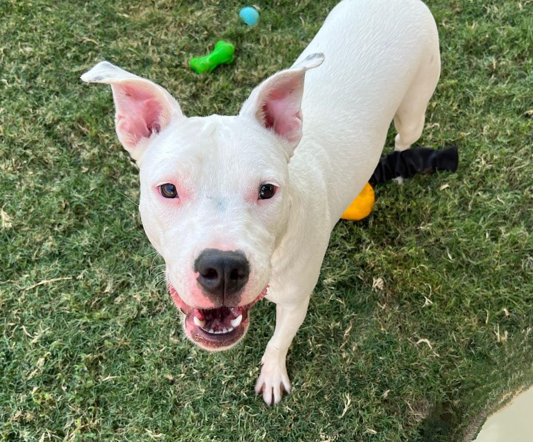 Miracle* A212071
