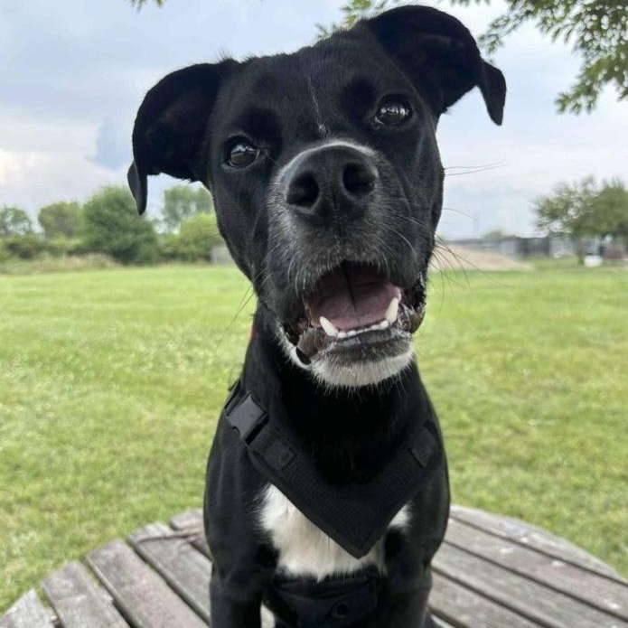 Tyson