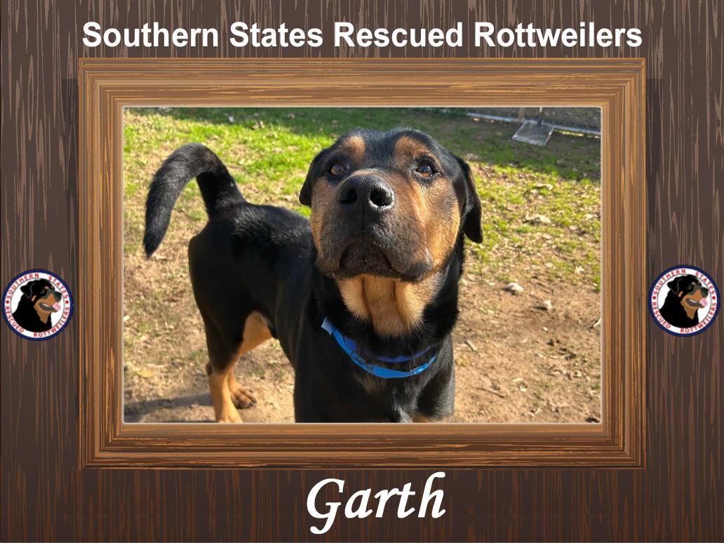 Garth, a ADOPTABLE mixed breed in Lawton, OK image 1/5