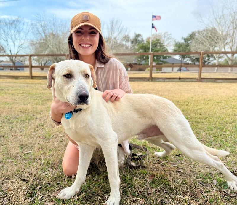 Sterling Bear the Certified Lover Boy