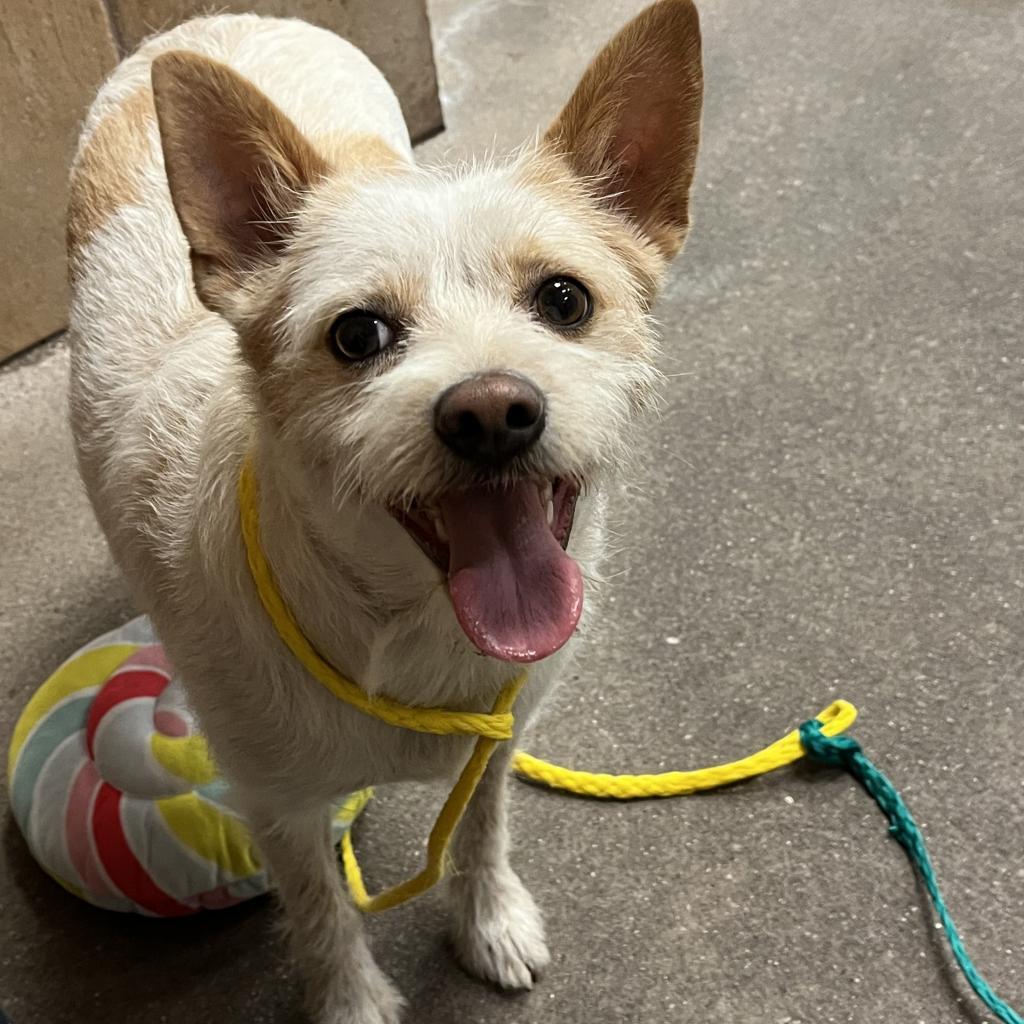 Huey Lewis thumbnail 2