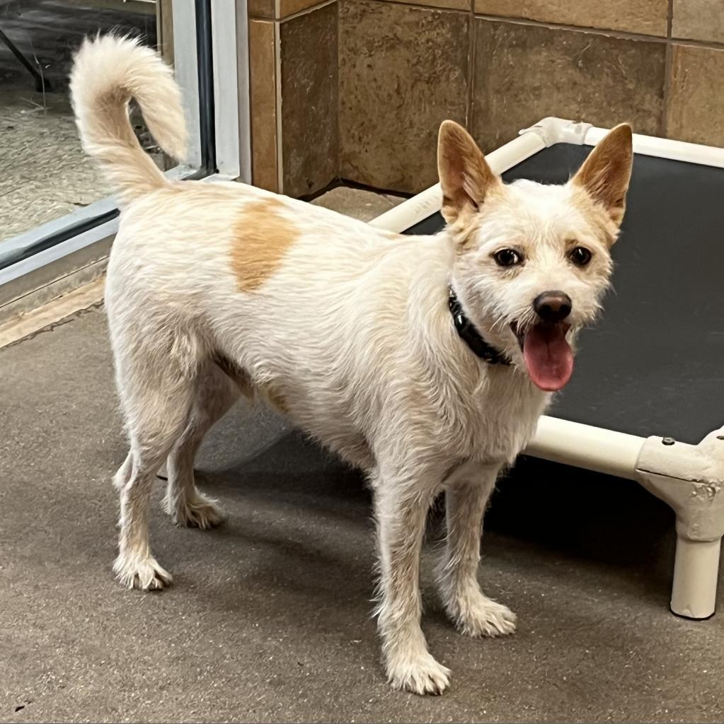 Huey Lewis thumbnail 3