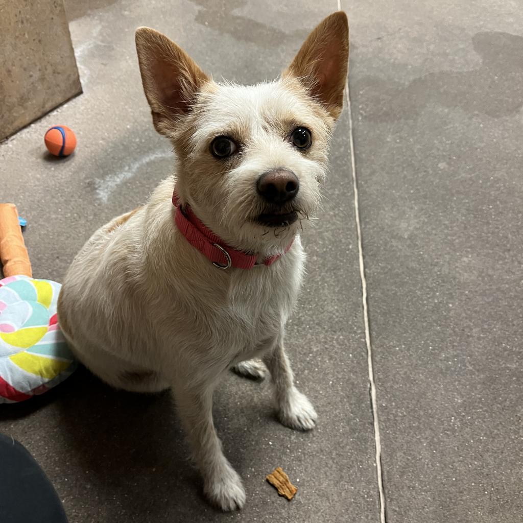 Huey Lewis thumbnail 4