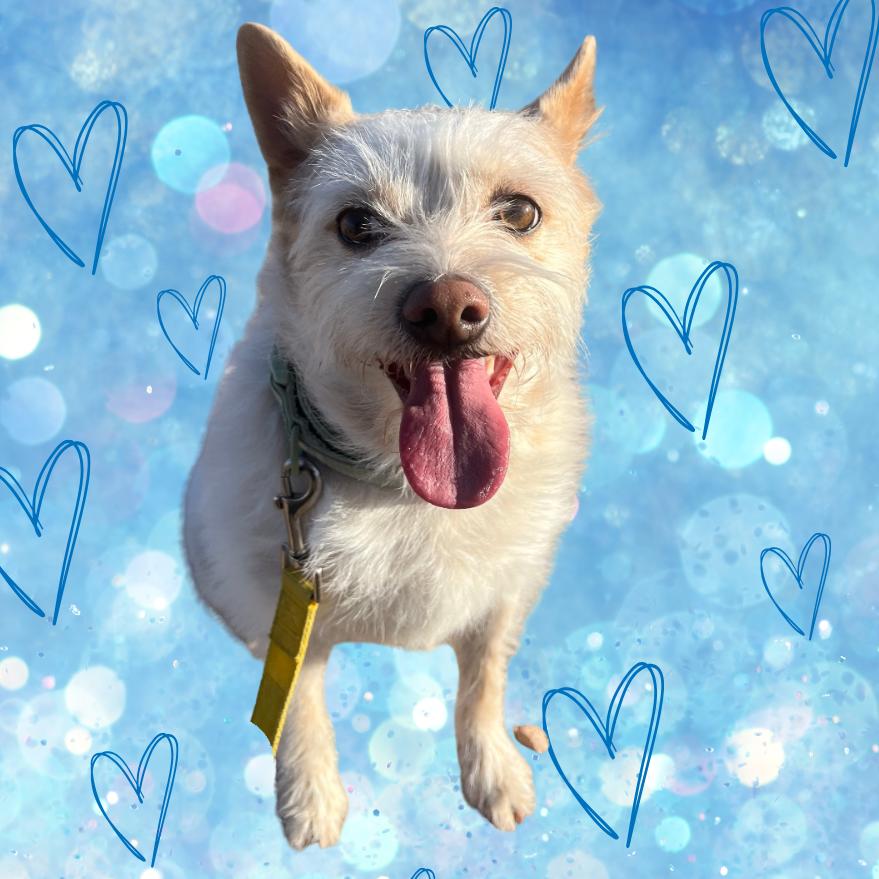 Huey Lewis thumbnail 5