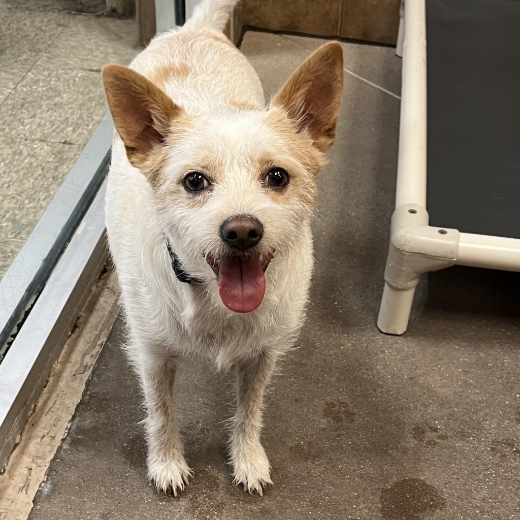 Huey Lewis thumbnail 6