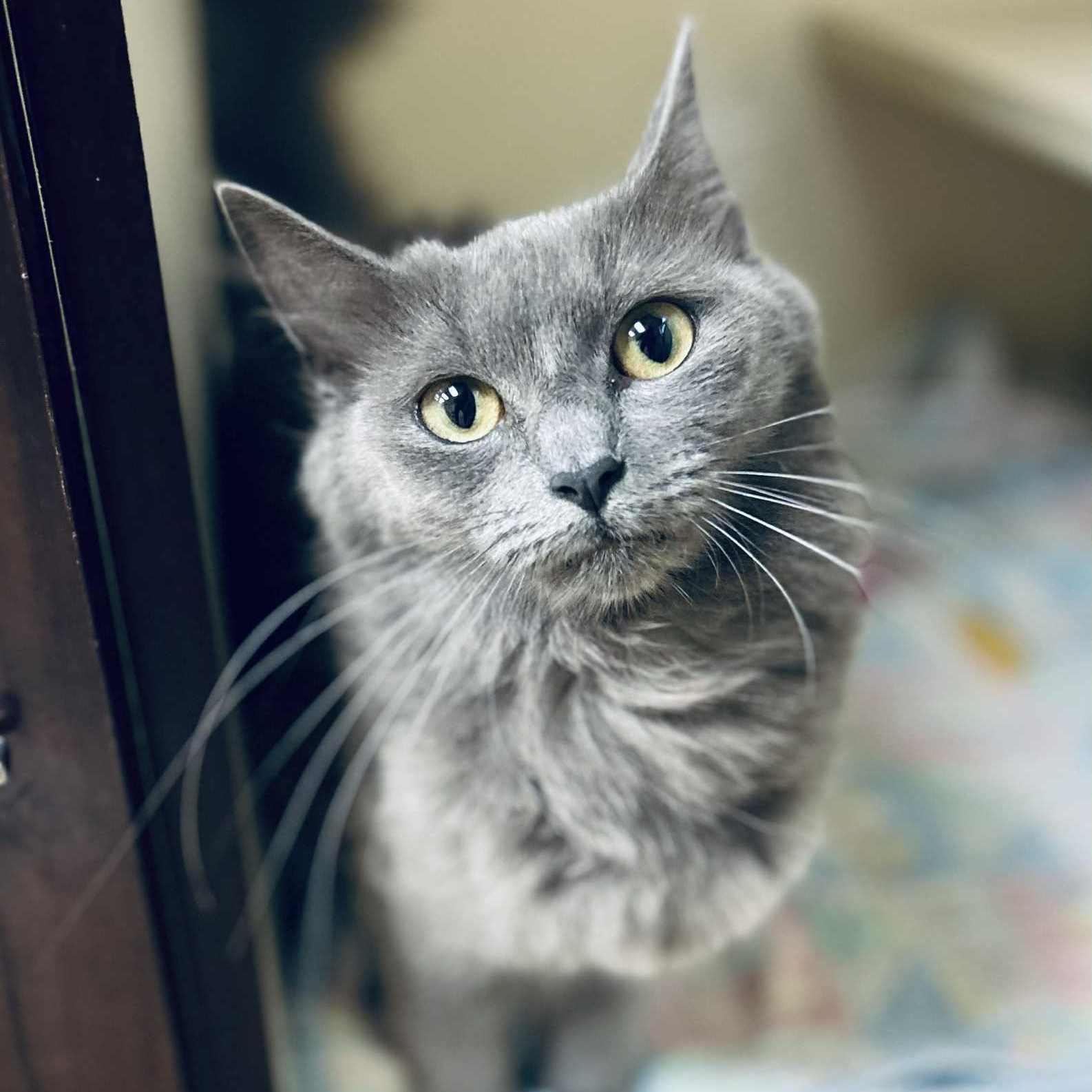 Mystique
