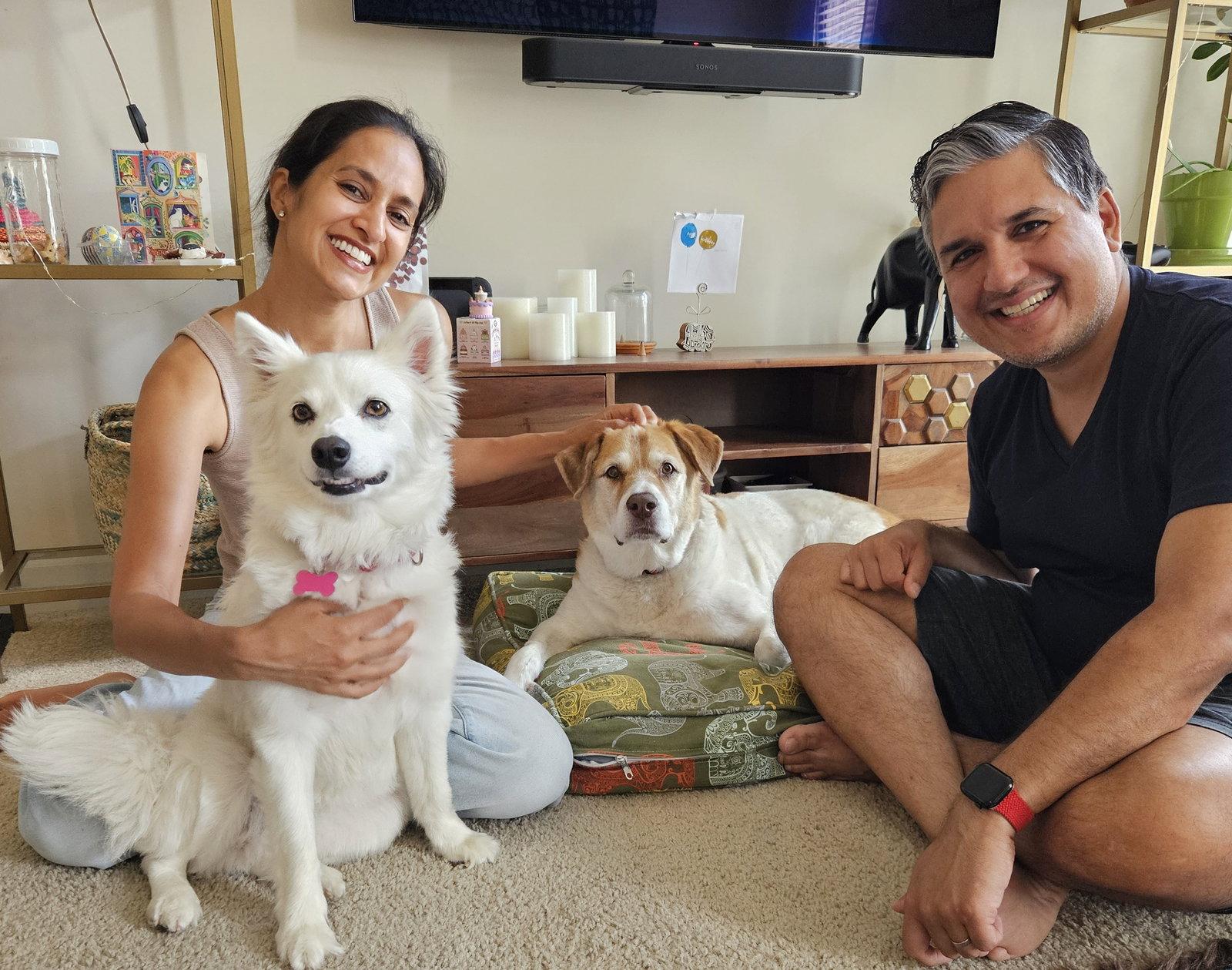 Bonnie of MD, a Adopted American Eskimo Dog in Randallstown, MD image 3/3