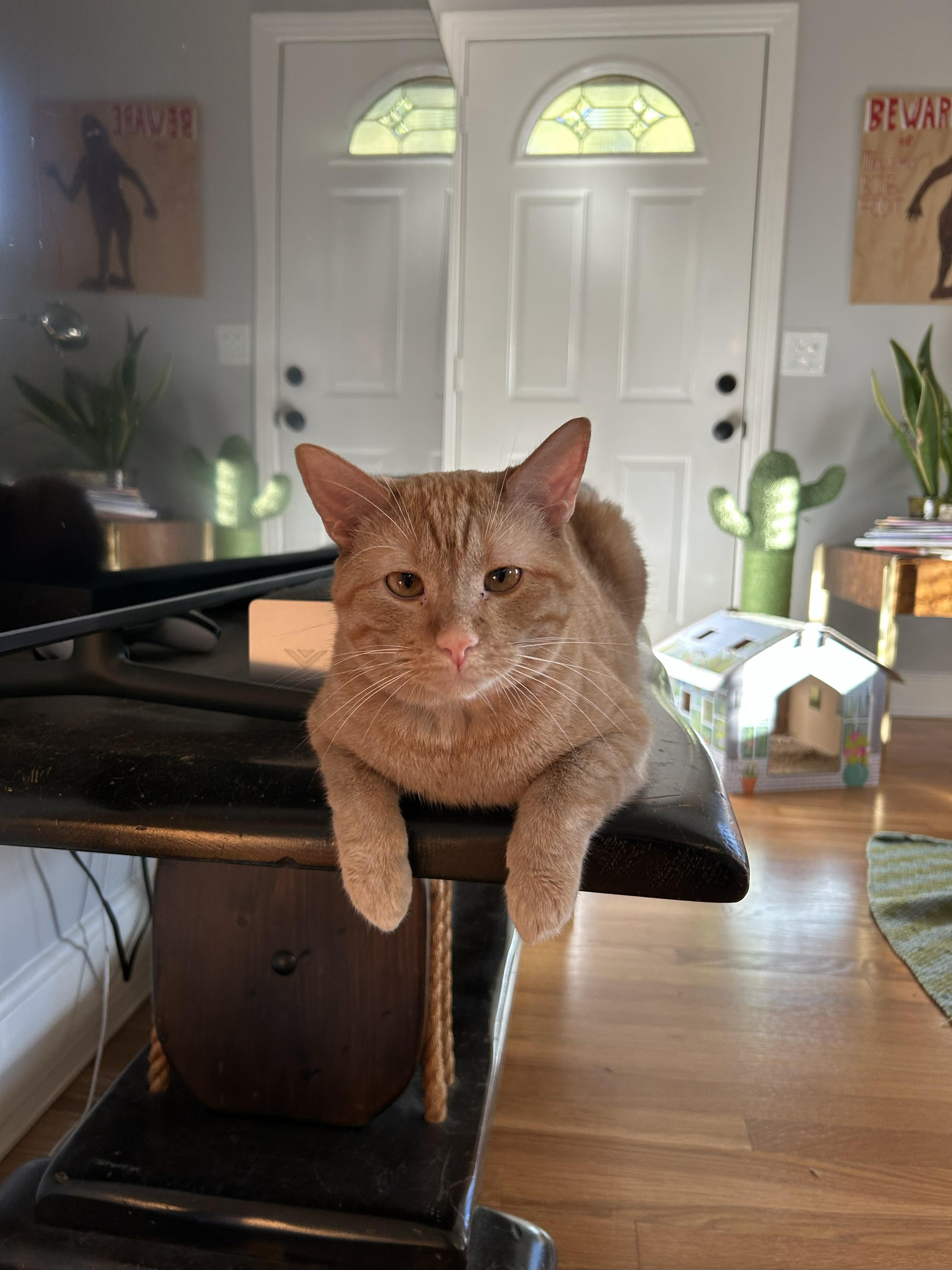 Boots + Beans (bonded pair) 2