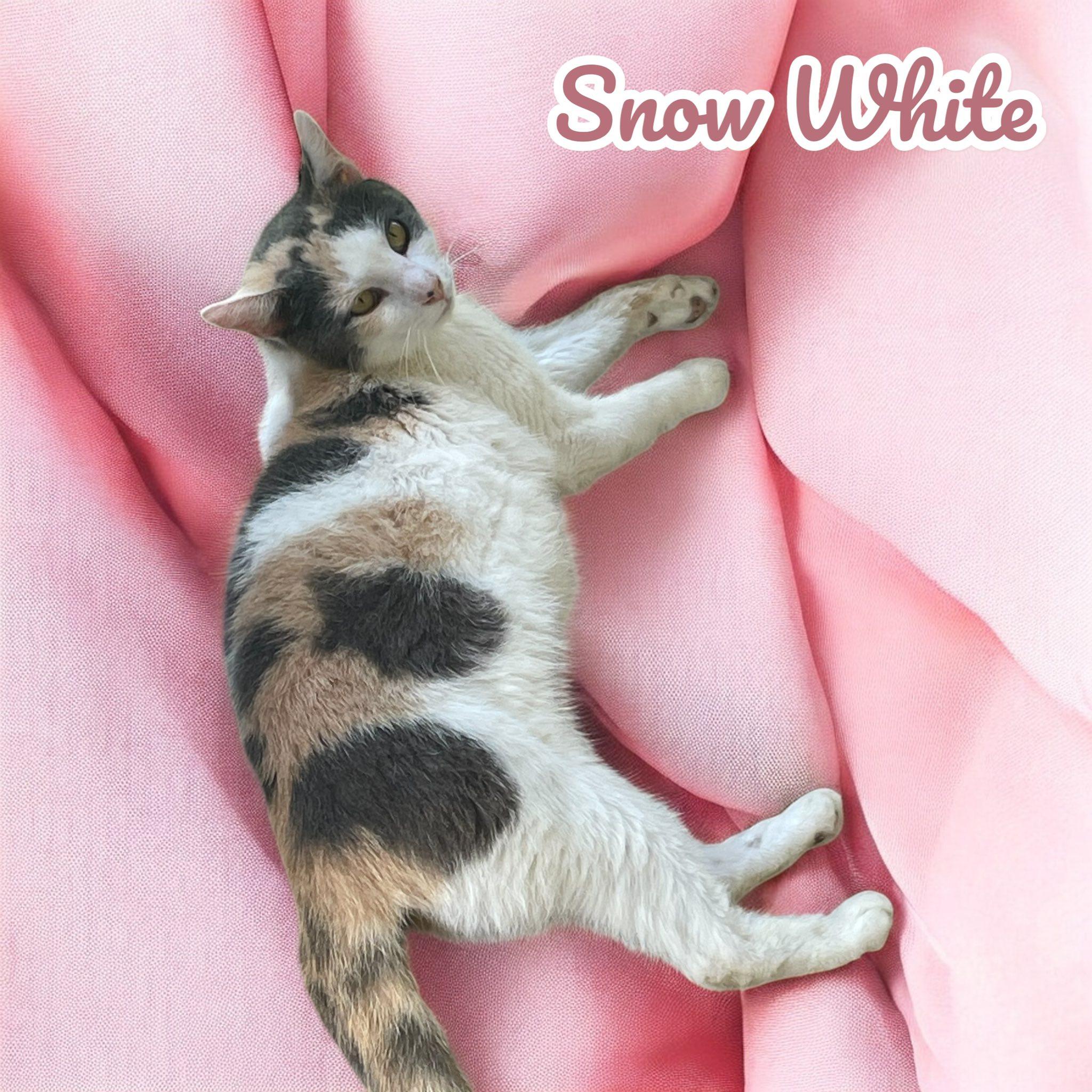 Snow White
