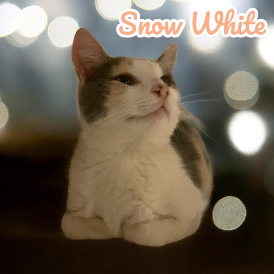 Snow White