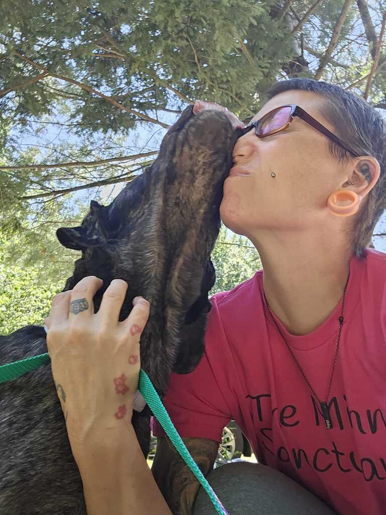 Lucky, a ADOPTABLE Mixed Breed in Bowdoin, ME image 6/6