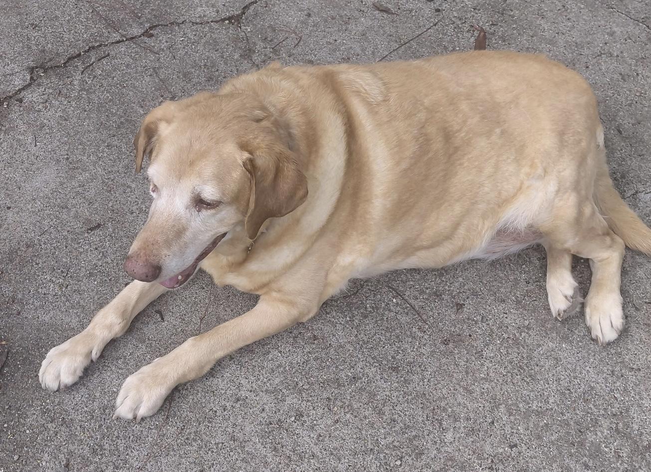 Rustie — thumbnail 2