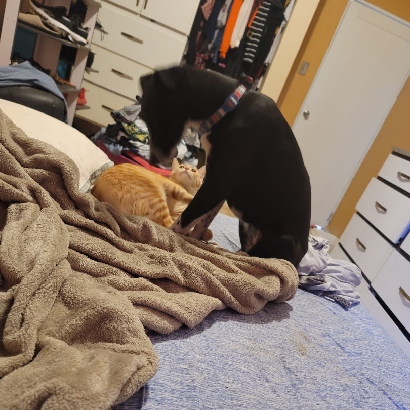 Negri "elegant & Loving." thumbnail 5