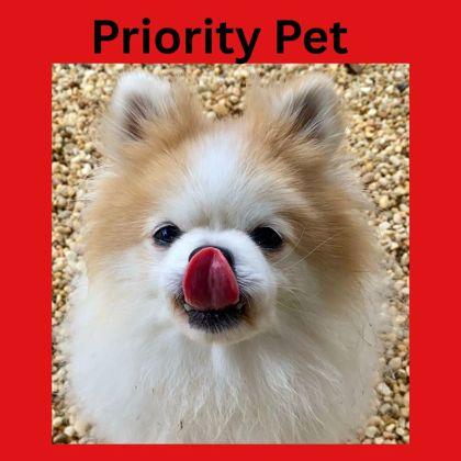 Nigel   `a thumbnail 3