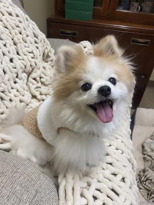 Nigel   `a thumbnail 4