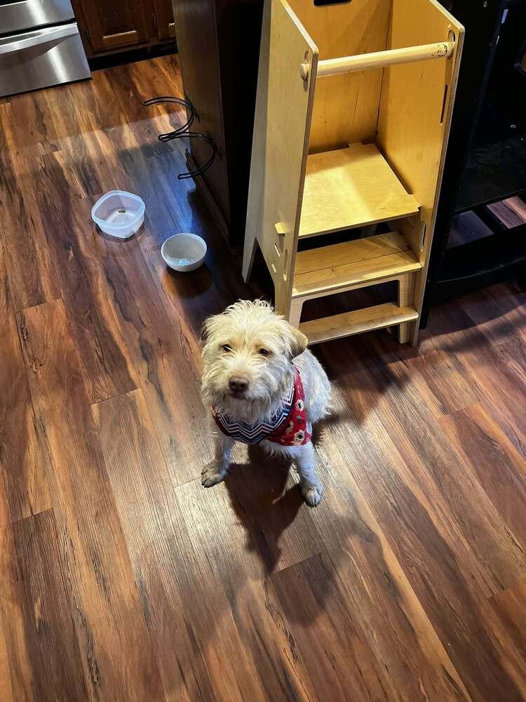 Melvin photo