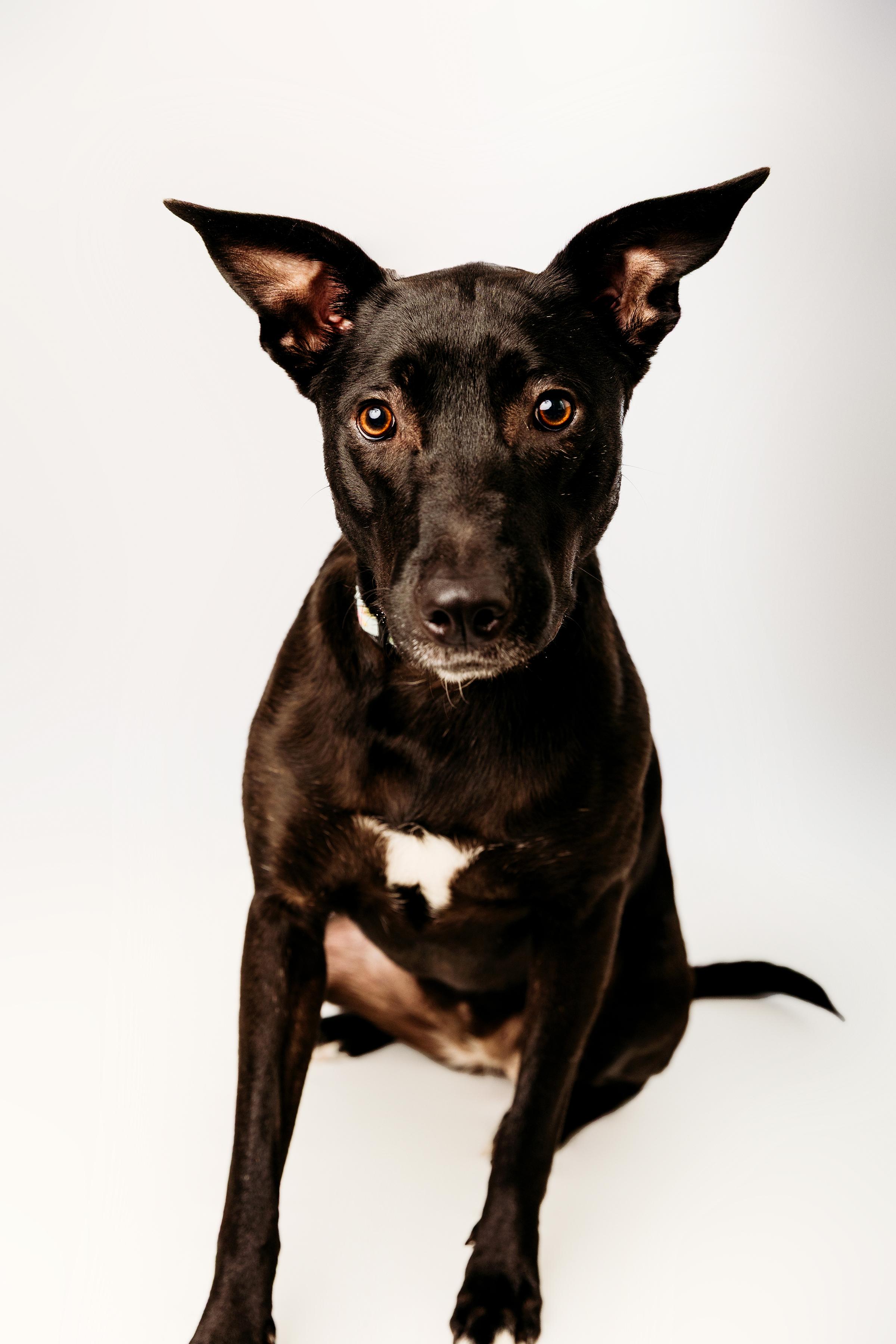 Zuki photo 4