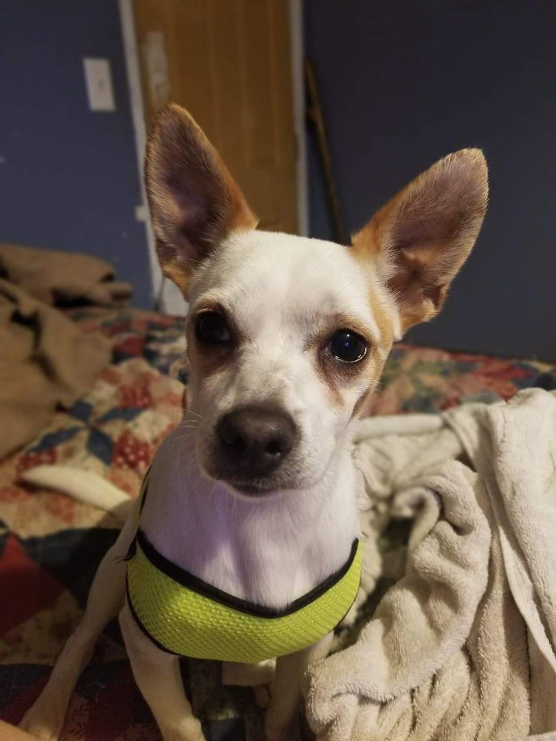 Remy photo 2