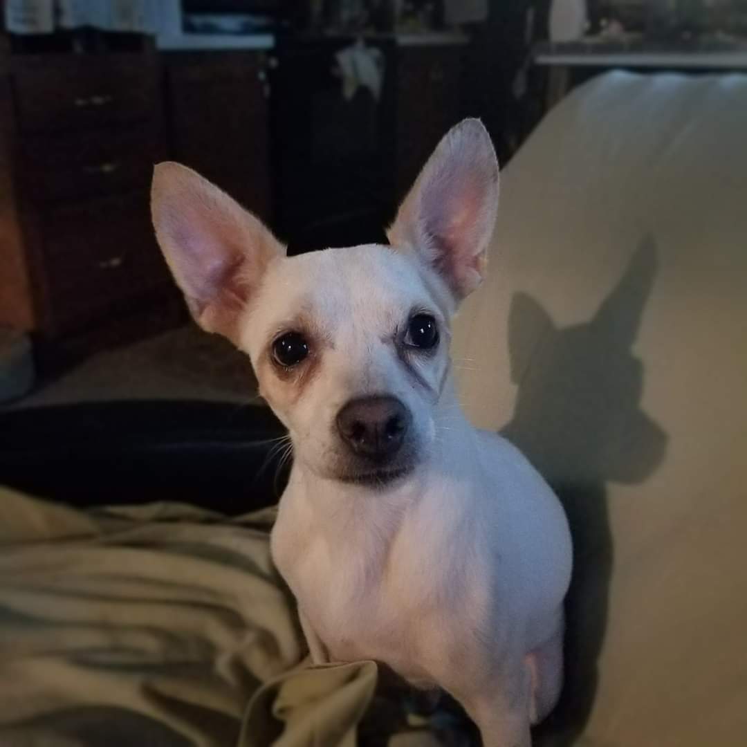 Remy photo 4