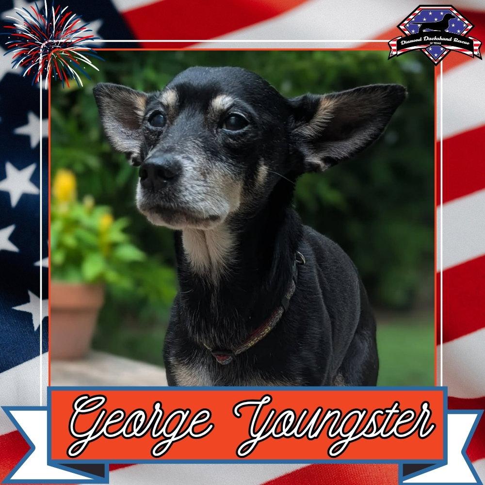 George Youngster, a Adoptable mixed breed in San Antonio, TX image 1/3