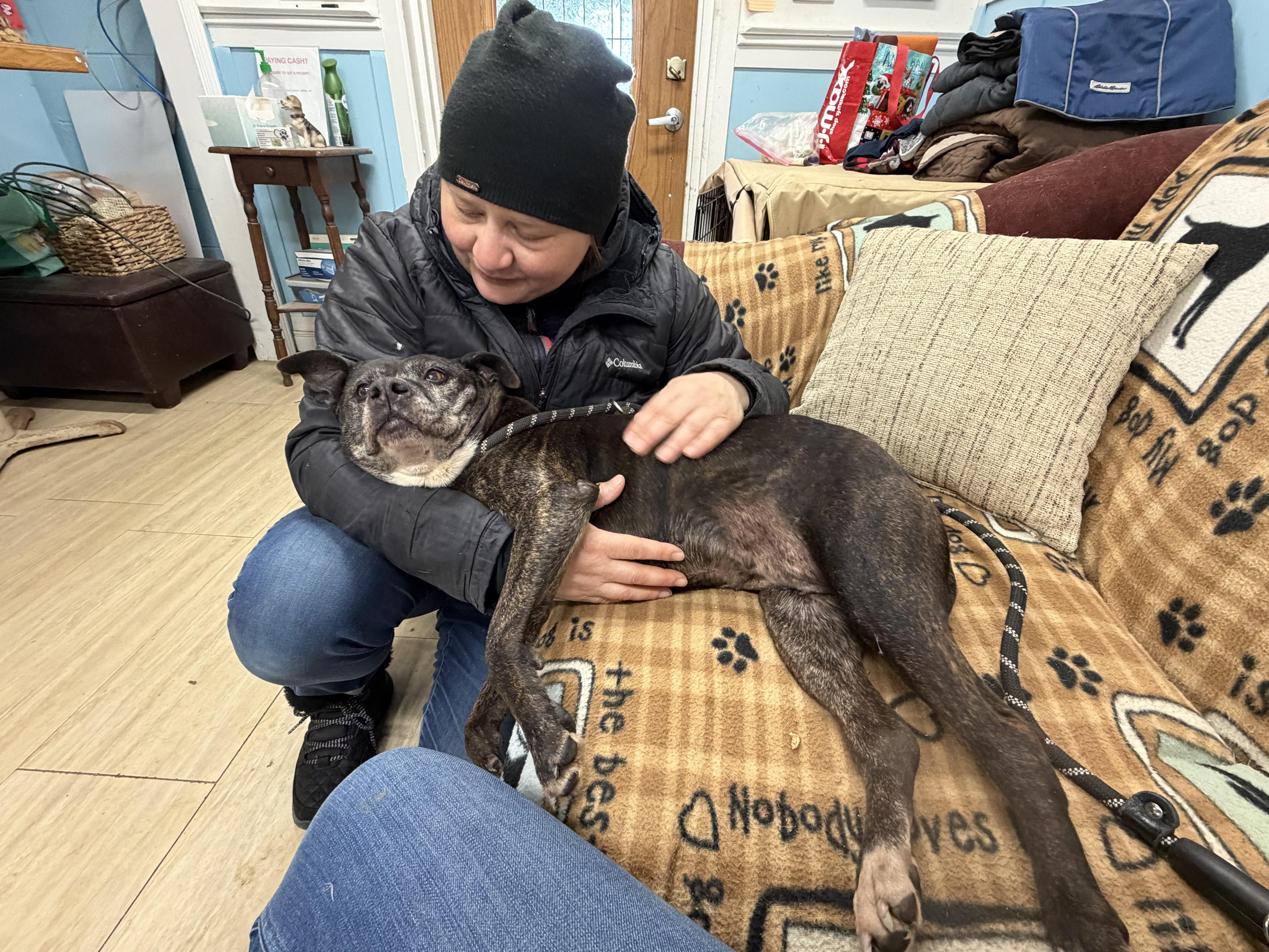 Enlarge Garland - FOSTER or ADOPT, a Adoptable Mixed Breed in Plain City, OH image 5/6