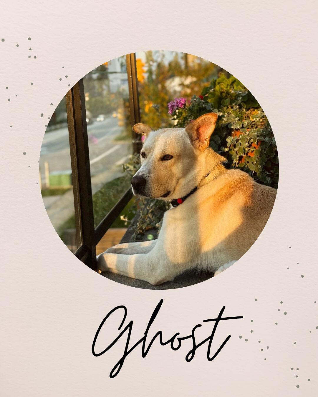 GHOST