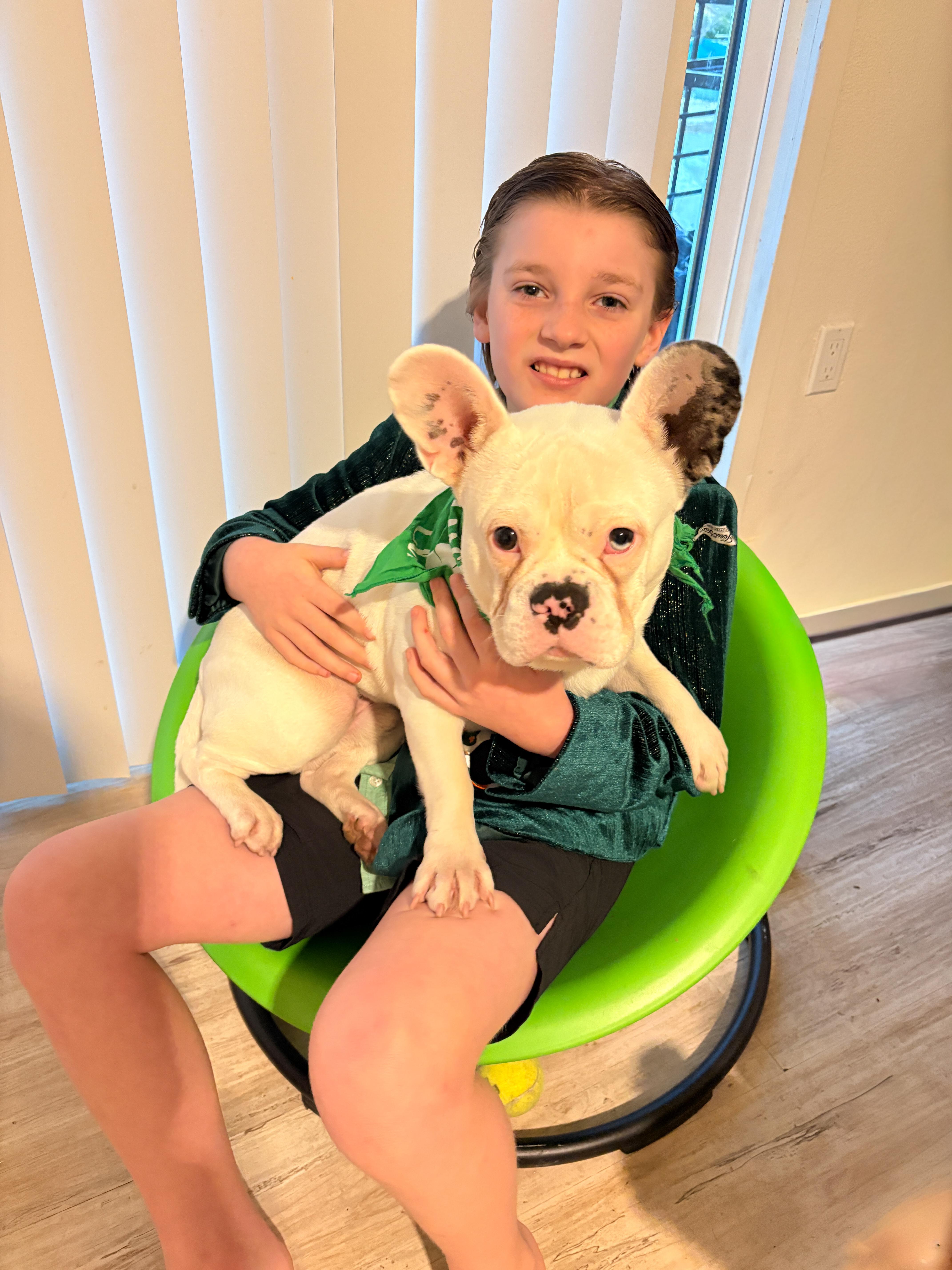 Enlarge Astro, a Adoptable mixed breed in Torrance, CA image 2/6
