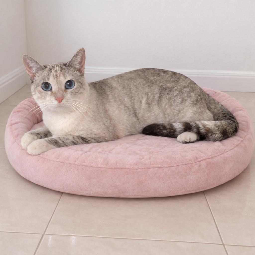 Enlarge Kira — Soft, Shy, and Searching for Her Forever Someone, a Adoptable mixed breed in Hillsboro, TX image 5/6