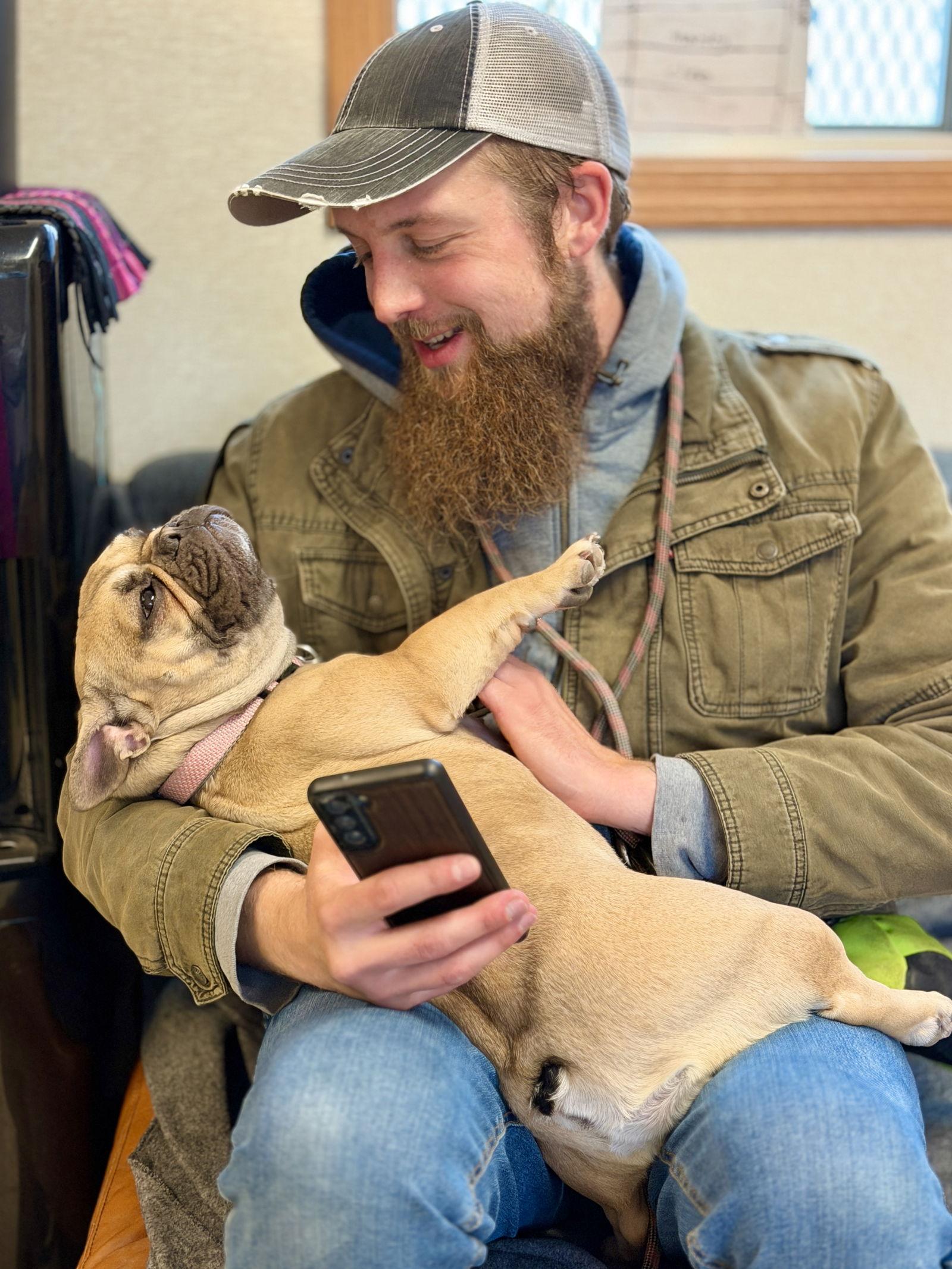 Cleo, a Adoptable French Bulldog in West Cornwall, CT image 1/3