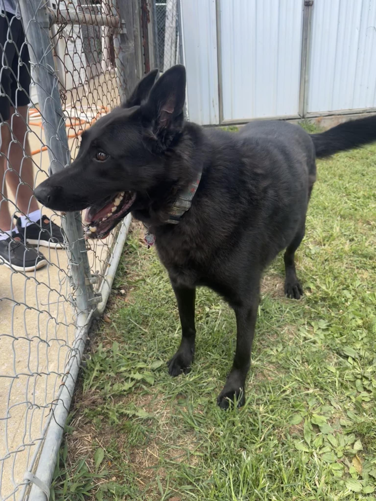 Duke