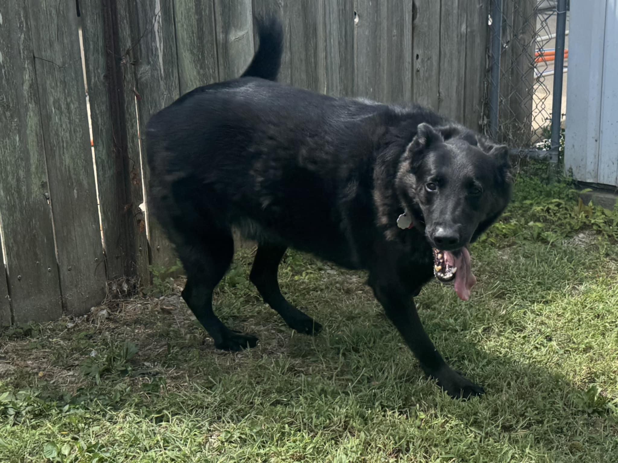 Duke