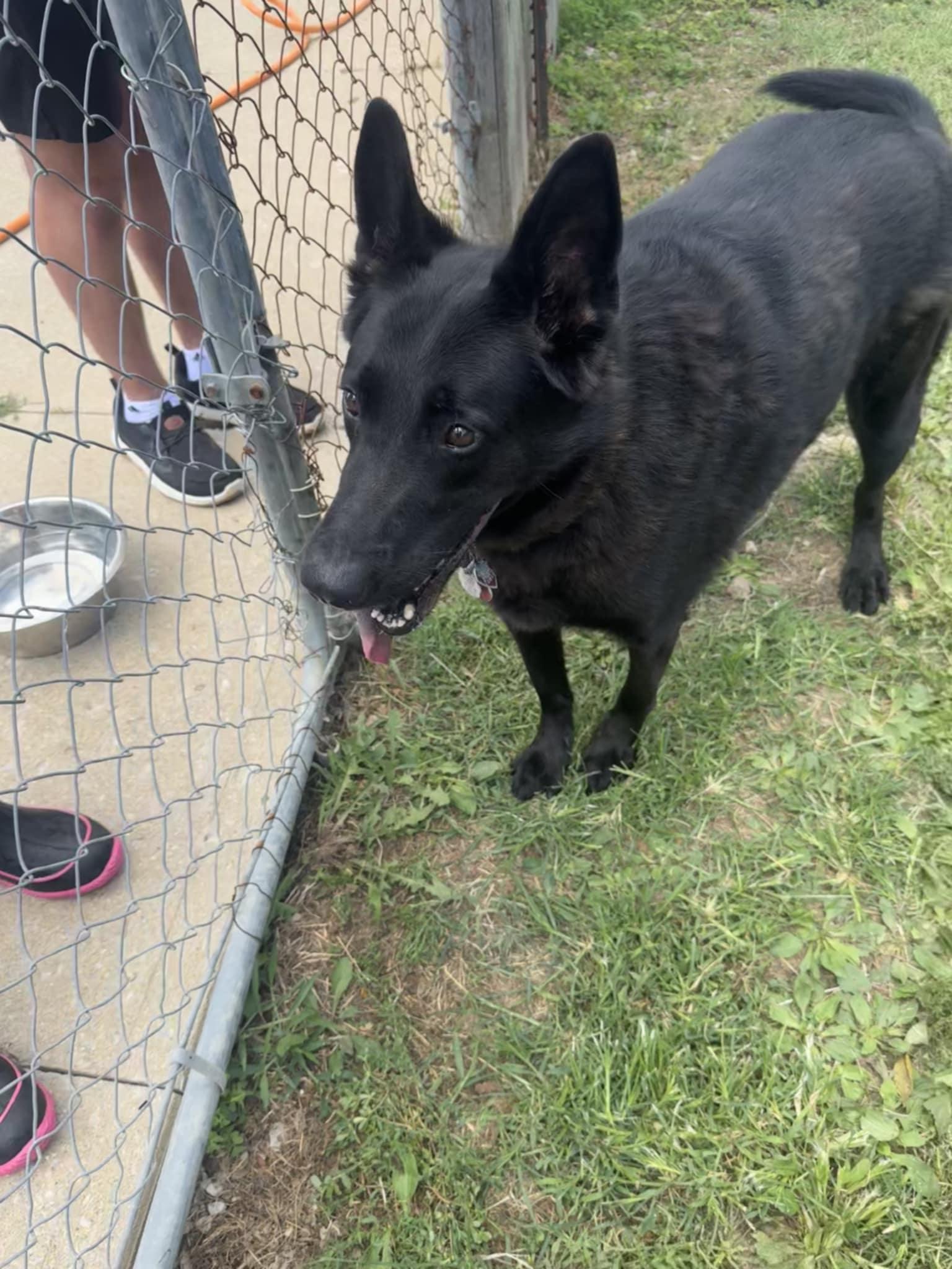Duke