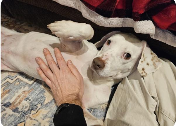 Machi — thumbnail 4