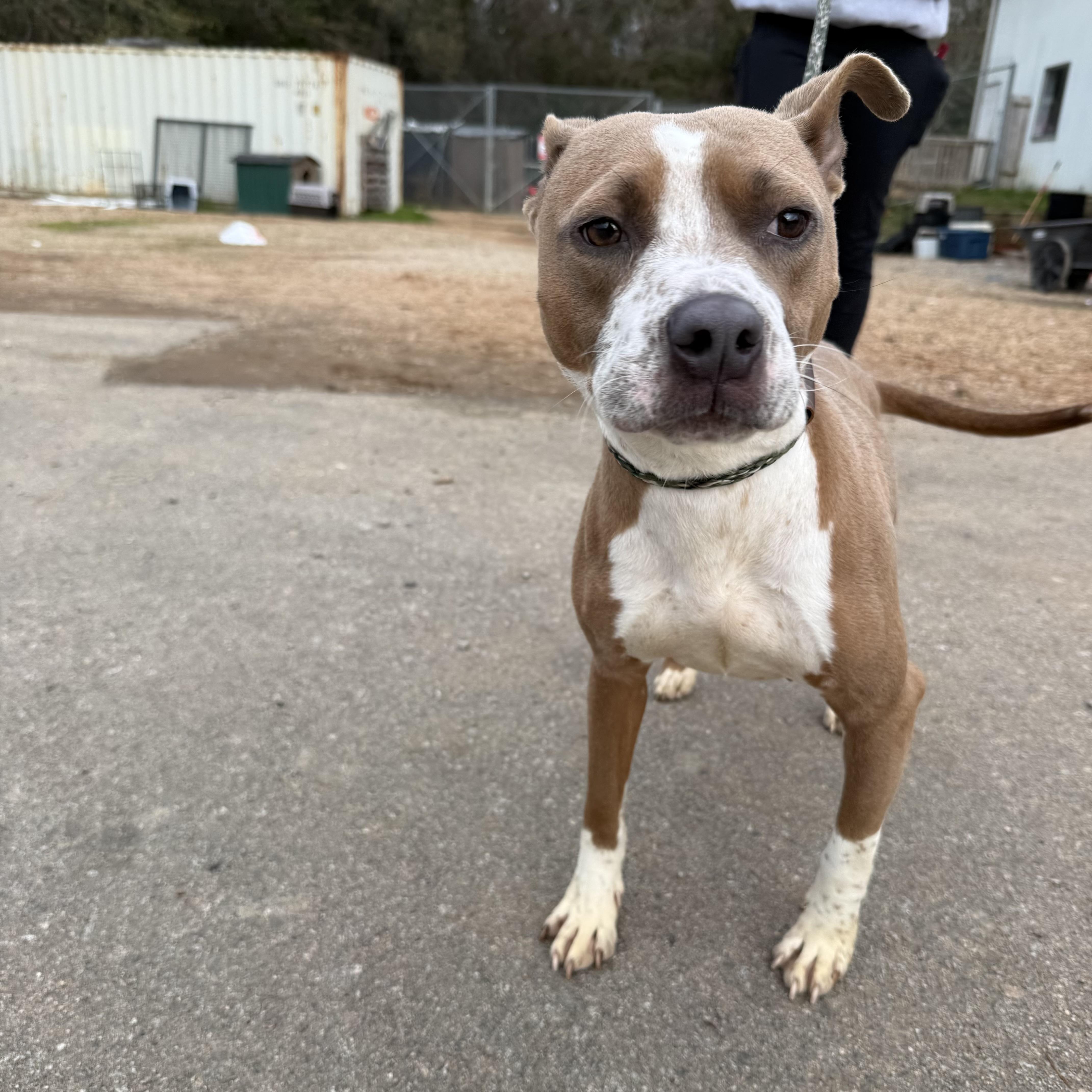 Bridget — thumbnail 5