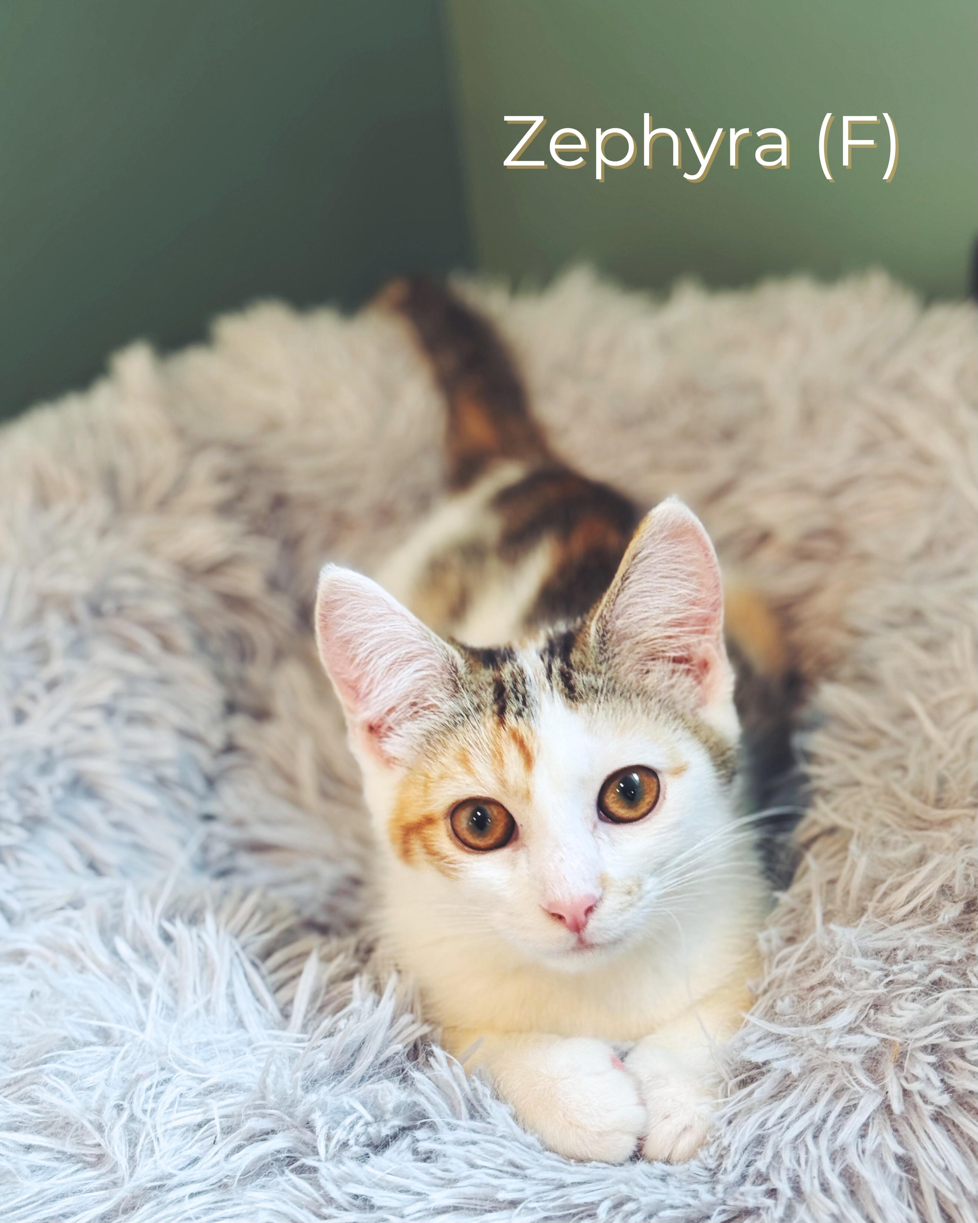 Zephyra 1