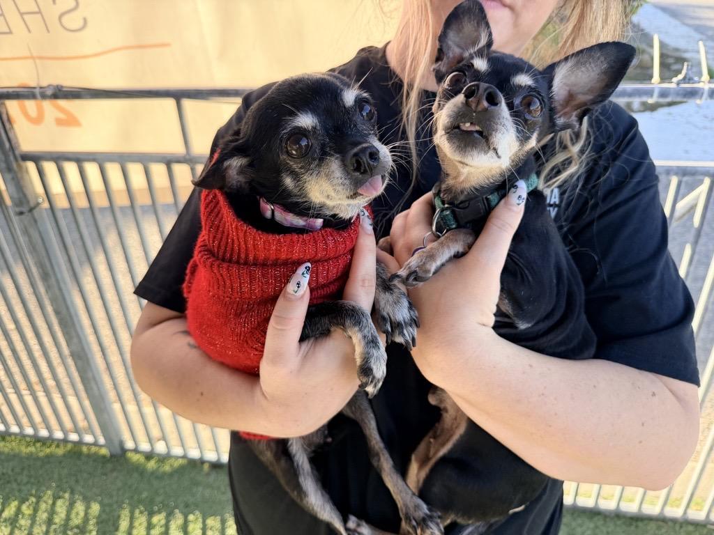 Mama Nugget and Nugget