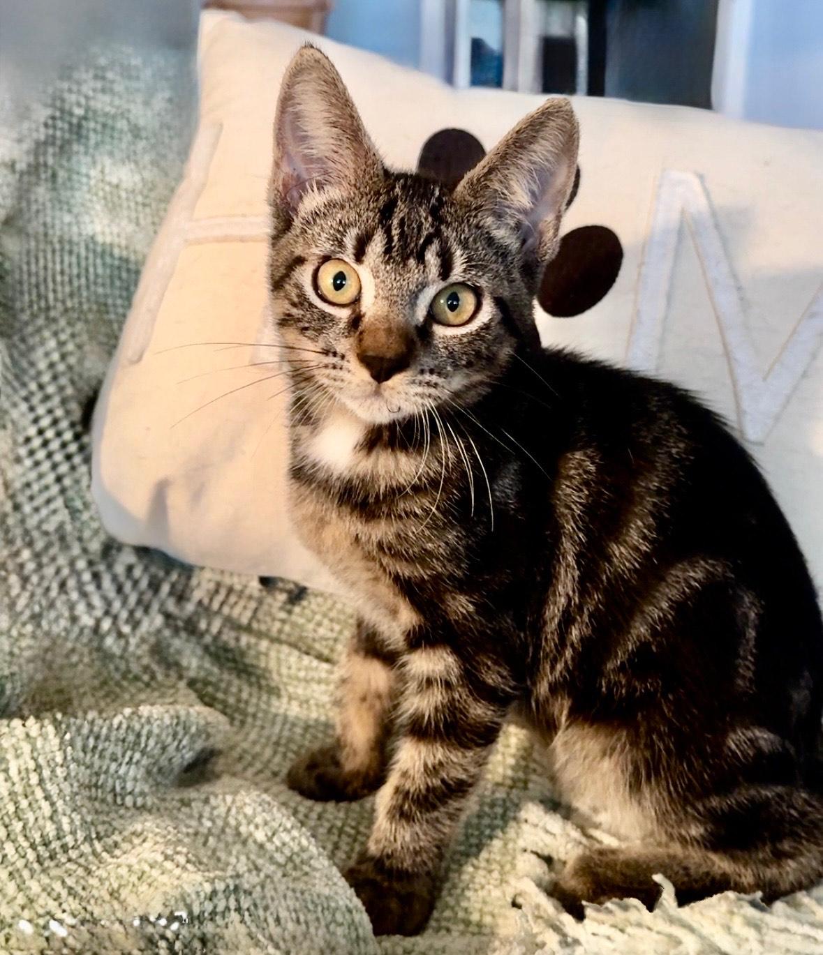 Benson & Boone - BONDED