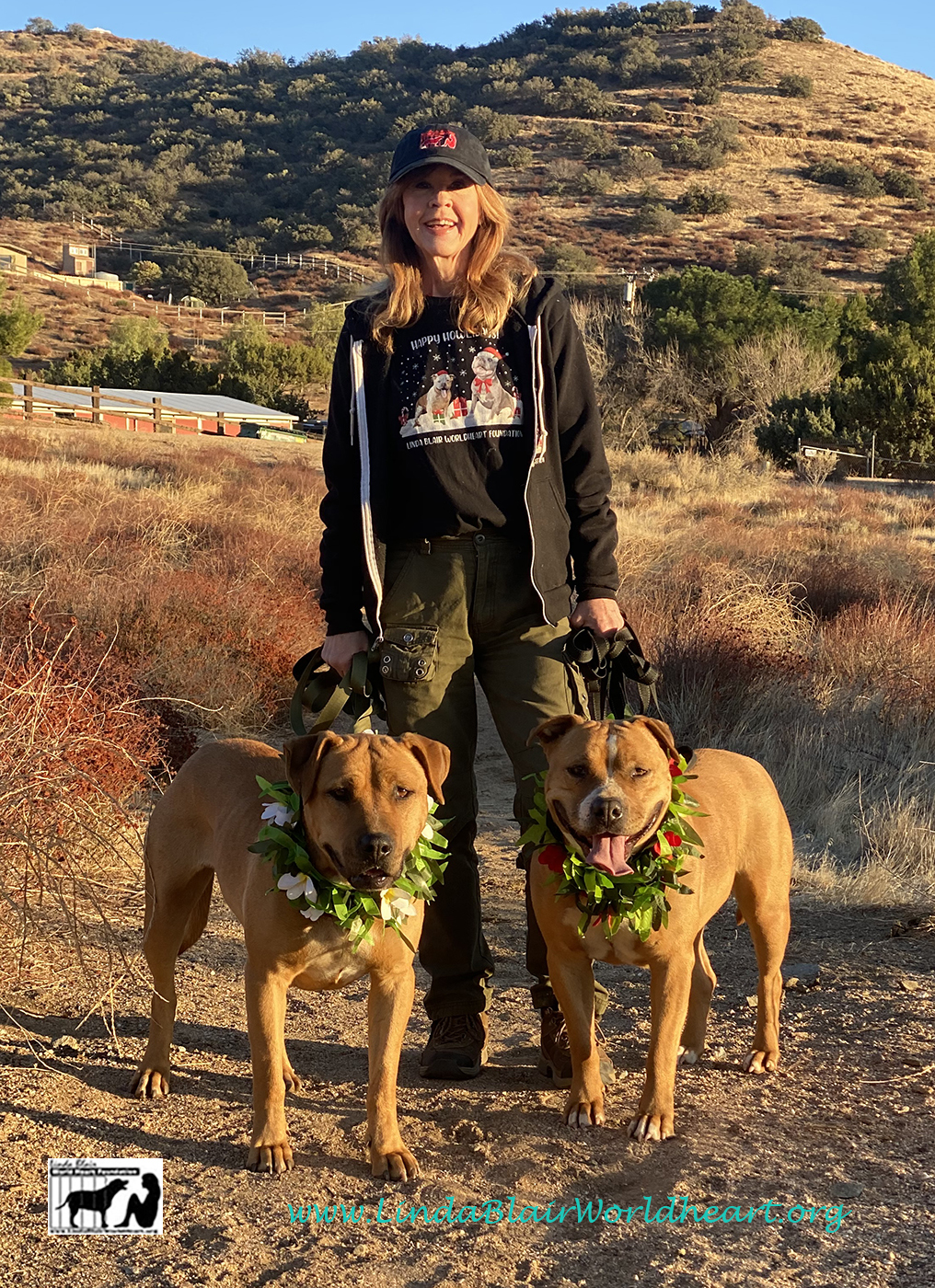 Adorable MOLLY AND SISTER ROSITA, a Adoptable mixed breed in Acton, CA image 2/5