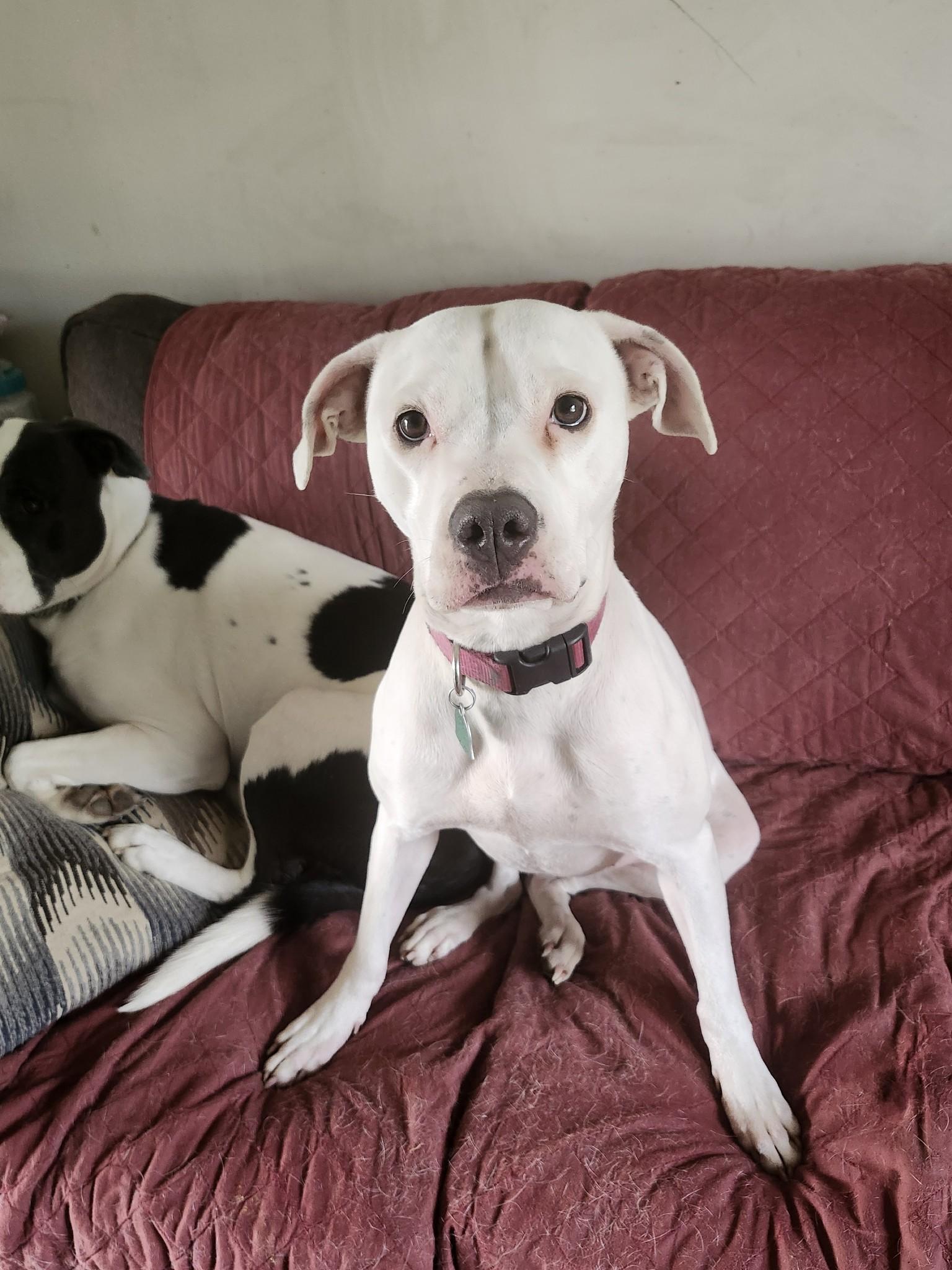 Blessing thumbnail 2